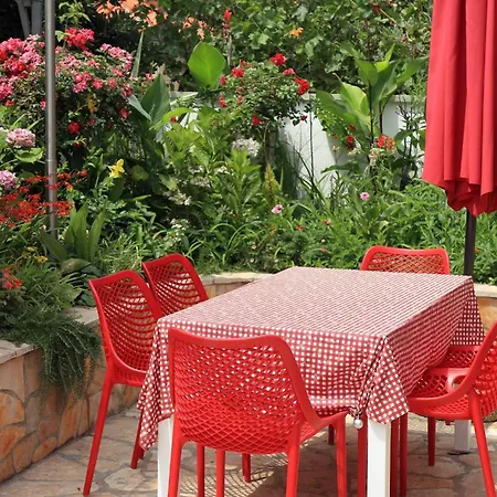 Maraschino Zadarvillas * Vir